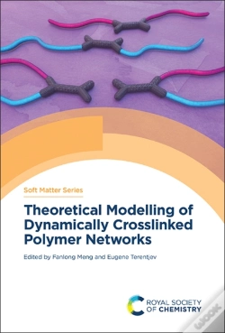 Capa do artigo Theoretical Modelling Of Dynamically Crosslinked Polymer Networks
