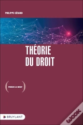 Théorie Du Droit