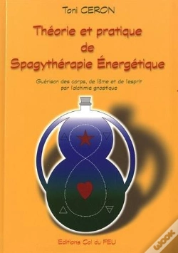 Capa do artigo Théorie Et Pratique De Spagythérapie Energétique