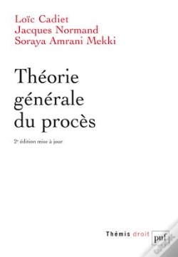 Capa do artigo Théorie Générale Du Procès (2e Édition)