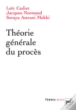 Capa do artigo Théorie Générale Du Procès