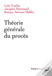 Théorie Générale Du Procès
