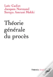 Capa do artigo Théorie Générale Du Procès