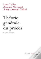 Capa do artigo Théorie Générale Du Procès