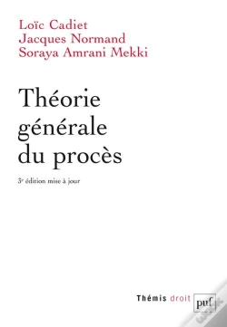 Capa do artigo Théorie Générale Du Procès