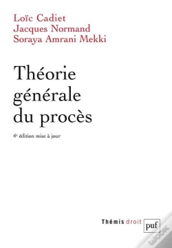 Capa do artigo Théorie Générale Du Procès