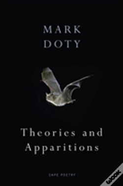 Capa do artigo Theories And Apparitions