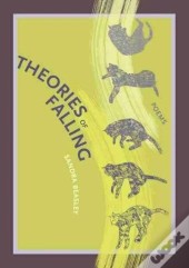 Theories Of Falling