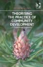 Theorising The Practice Of Community Development - Preview