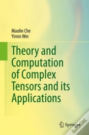 Capa do artigo Theory And Computation Of Complex Tensors And Its Applications