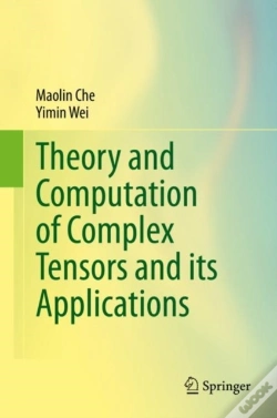 Capa do artigo Theory And Computation Of Complex Tensors And Its Applications