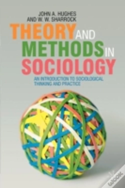 Capa do artigo Theory And Methods In Sociology