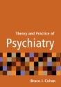 Theory And Practice Of Psychiatry - Preview