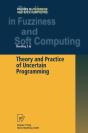 Theory And Practice Of Uncertain Programming - Preview
