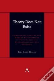 Capa do artigo Theory Does Not Exist