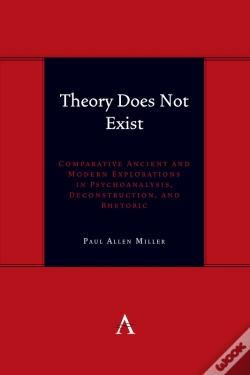 Capa do artigo Theory Does Not Exist