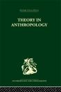 Theory In Anthropology - Preview