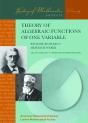 Theory Of Algebraic Functions Of One Variable - Preview