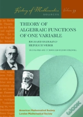 Theory Of Algebraic Functions Of One Variable