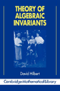 Theory Of Algebraic Invariants - Preview