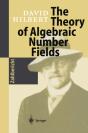 Theory Of Algebraic Number Fields - Preview