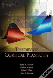 Theory Of Cortical Plasticity