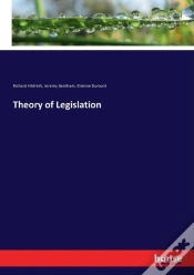 Capa do artigo Theory Of Legislation