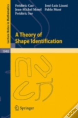 Capa do artigo Theory Of Shape Identification