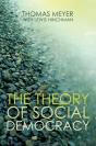 Theory Of Social Democracy - Preview