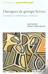 Therapies De Groupe Breves ; Procedures Et Illustrations Cliniques