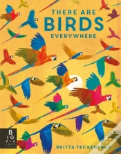 Capa do artigo There Are Birds Everywhere