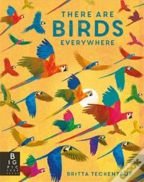 There Are Birds Everywhere