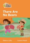 There Are No Bears