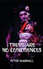 There Are No Coincidences - Preview