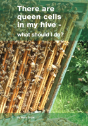 There Are Queen Cells In My Hive - Preview