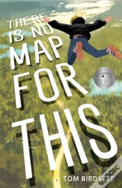 Capa do artigo There Is No Map For This