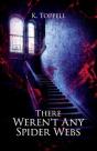 There Weren'T Any Spider Webs - Preview