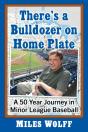 There'S A Bulldozer On Home Plate - Preview