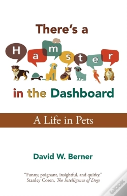 Capa do artigo There'S A Hamster In The Dashboard