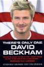 There'S Only One David Beckham - Preview