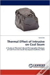 Thermal Effect Of Intrusive On Coal Seam