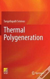 Capa do artigo Thermal Polygeneration