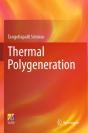 Thermal Polygeneration - Preview