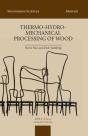 Thermo-Hydro-Mechanical Wood Processing - Preview