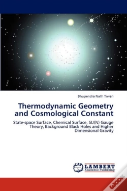 Capa do artigo Thermodynamic Geometry And Cosmological Constant