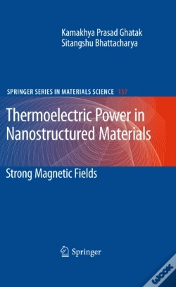 Capa do artigo Thermoelectric Power In Nanostructured Materials