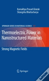Capa do artigo Thermoelectric Power In Nanostructured Materials