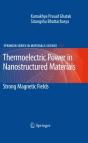 Thermoelectric Power In Nanostructured Materials - Preview