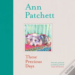 Capa do artigo These Precious Days