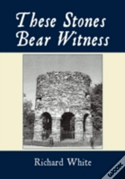 Capa do artigo These Stones Bear Witness